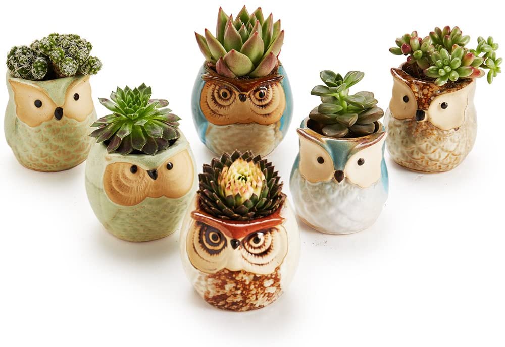 2.5 inch Owl Pot Ceramic Flowing Glaze Base Serial Set Succulent Plant Pot Cactus Plant Pot Flower Pot Container Planter Bonsai Pots with A Hole Perfect Gife Idea