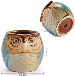 2.5 inch Owl Pot Ceramic Flowing Glaze Base Serial Set Succulent Plant Pot Cactus Plant Pot Flower Pot Container Planter Bonsai Pots with A Hole Perfect Gife Idea