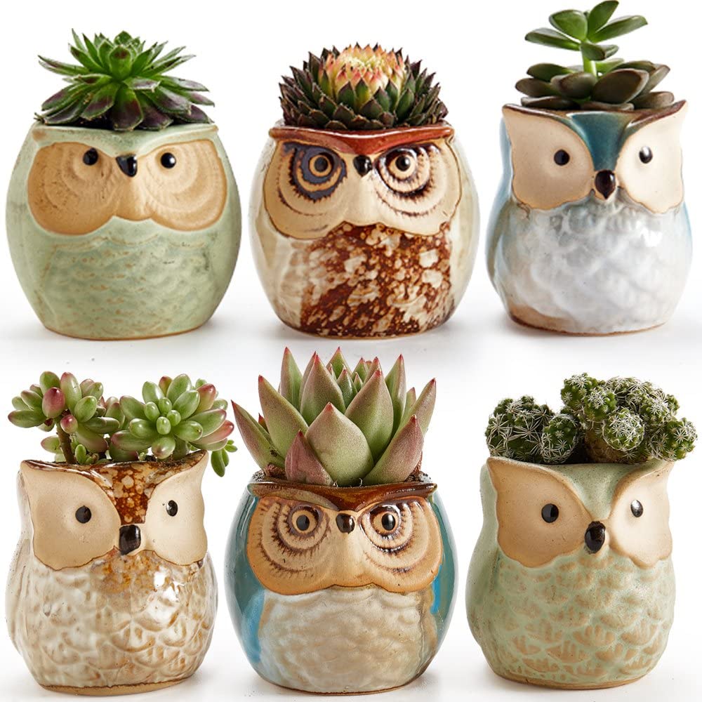 2.5 inch Owl Pot Ceramic Flowing Glaze Base Serial Set Succulent Plant Pot Cactus Plant Pot Flower Pot Container Planter Bonsai Pots with A Hole Perfect Gife Idea