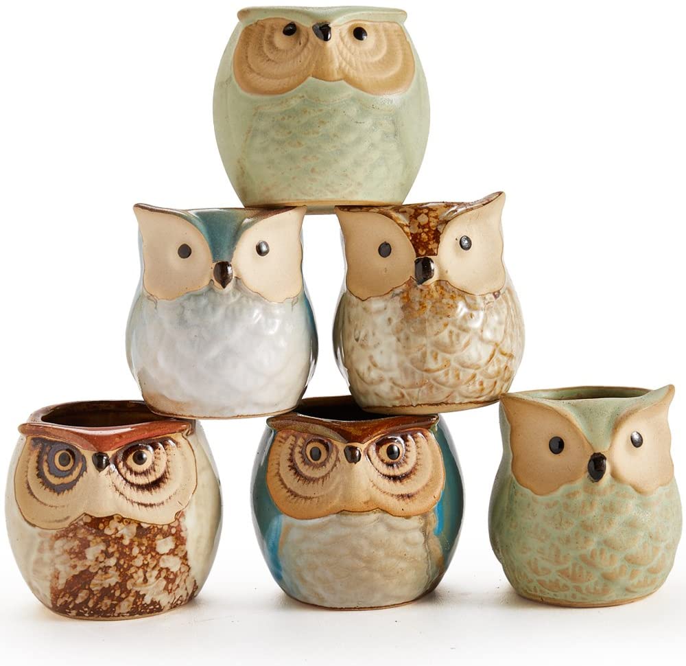 2.5 inch Owl Pot Ceramic Flowing Glaze Base Serial Set Succulent Plant Pot Cactus Plant Pot Flower Pot Container Planter Bonsai Pots with A Hole Perfect Gife Idea