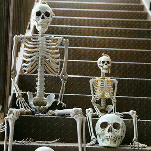 90cm Halloween Poseable Skeleton Full Life Size Human Skeleton Decoration Prop