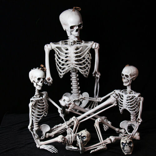 90cm Halloween Poseable Skeleton Full Life Size Human Skeleton Decoration Prop