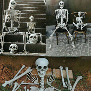 90cm Halloween Poseable Skeleton Full Life Size Human Skeleton Decoration Prop